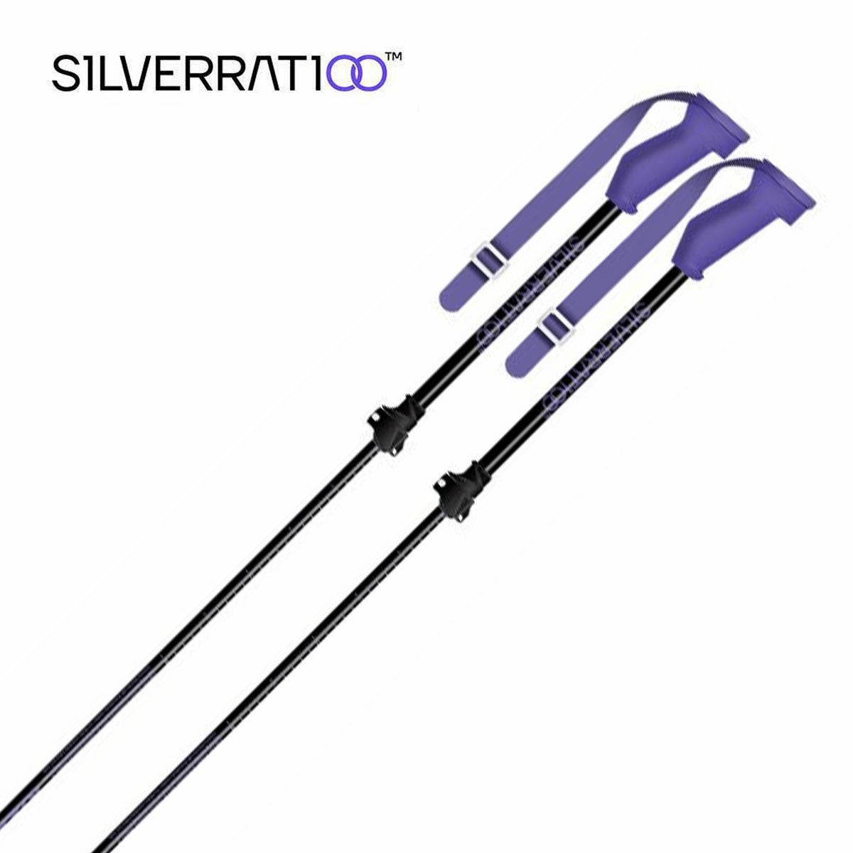 スキー SILVERRATIOO Performance Stock S1LVERRAT1OO Performance Stock – スペーレン.セレクト