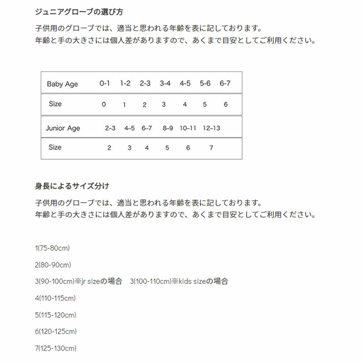 HESTRA ヘストラ スキーグローブ キッズ ジュニア＜2027＞32530