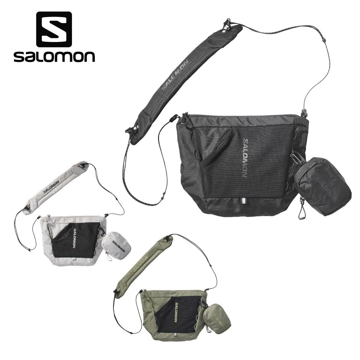 ID one スキーケース carry2020.jpg