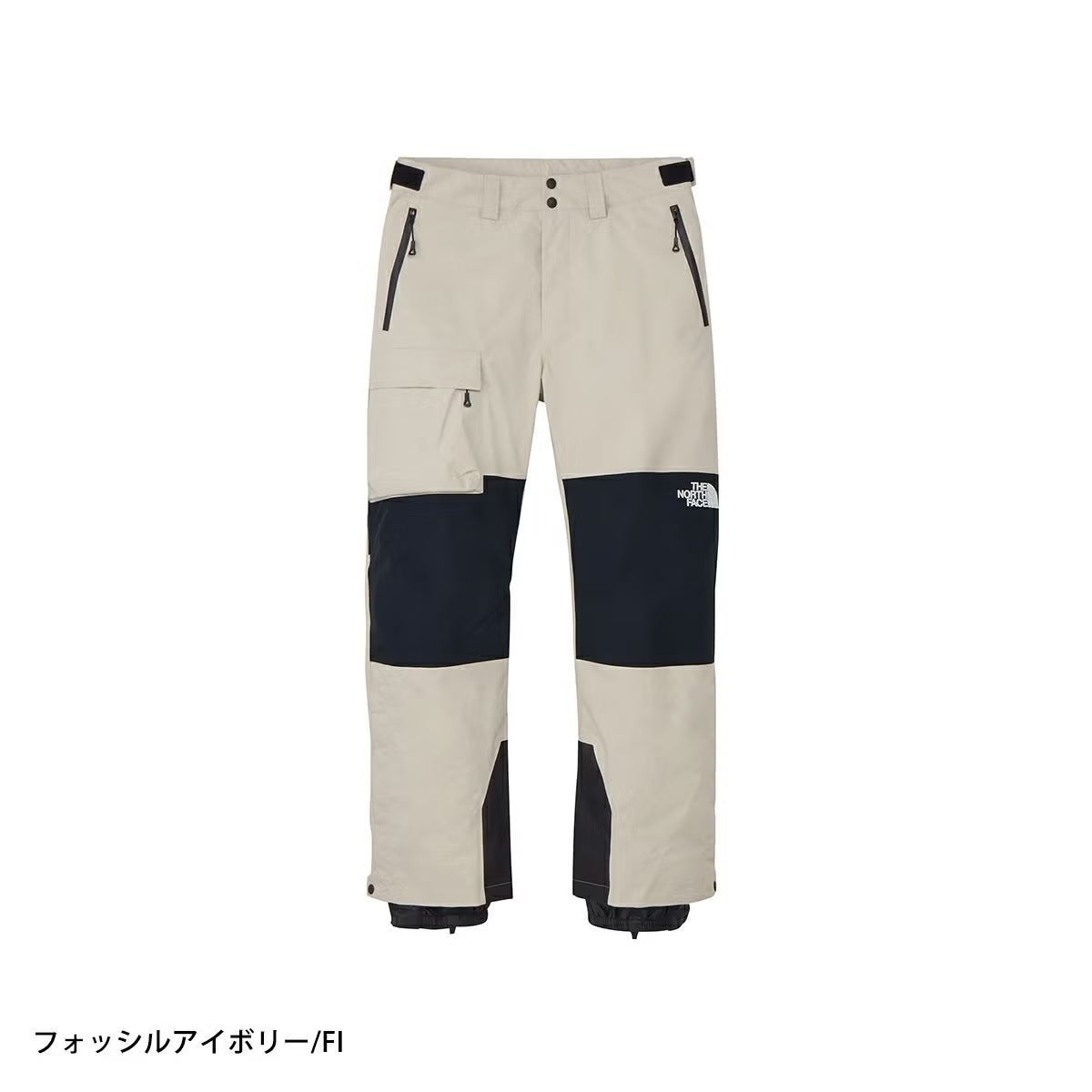 THE NORTH FACE ザ・ノース・フェイス スキーウェア パンツ メンズ