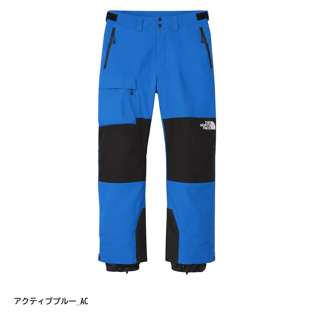 THE NORTH FACE ザ・ノース・フェイス スキーウェア パンツ メンズ