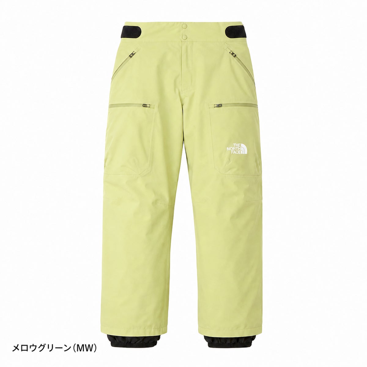THE NORTH FACE ザ・ノース・フェイス スキーウェア パンツ メンズ