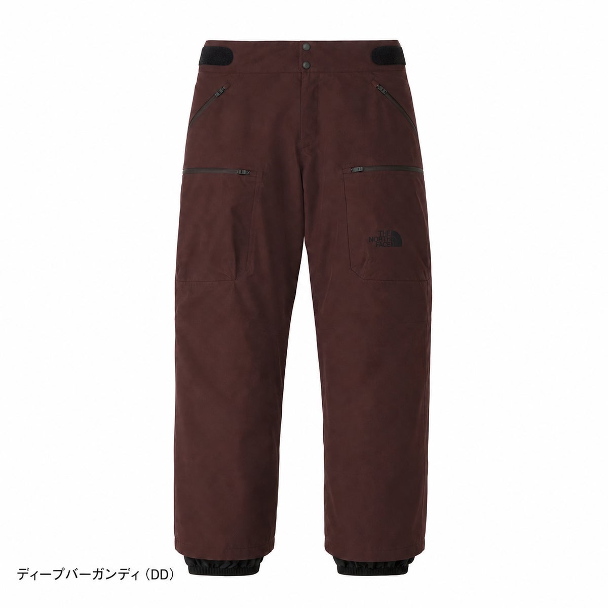 THE NORTH FACE ザ・ノース・フェイス スキーウェア パンツ メンズ