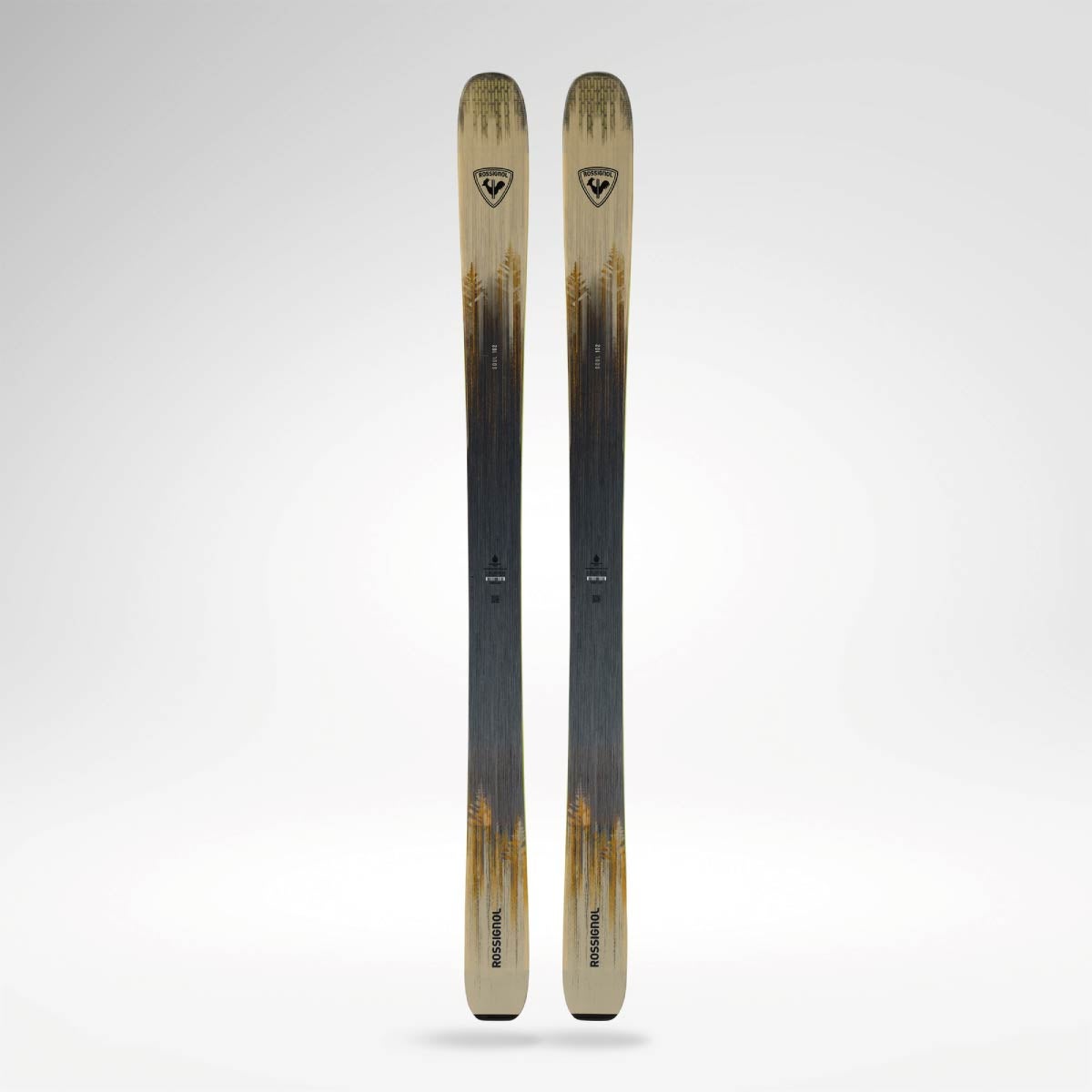 早期予約】ROSSIGNOL ロシニョール スキー板 メンズ レディース＜2027