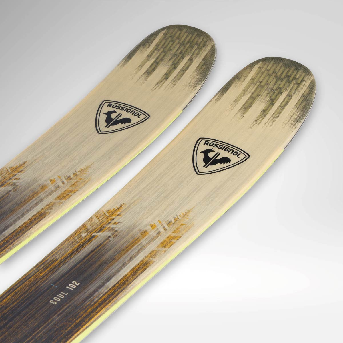 早期予約】ROSSIGNOL ロシニョール スキー板 メンズ レディース＜2027