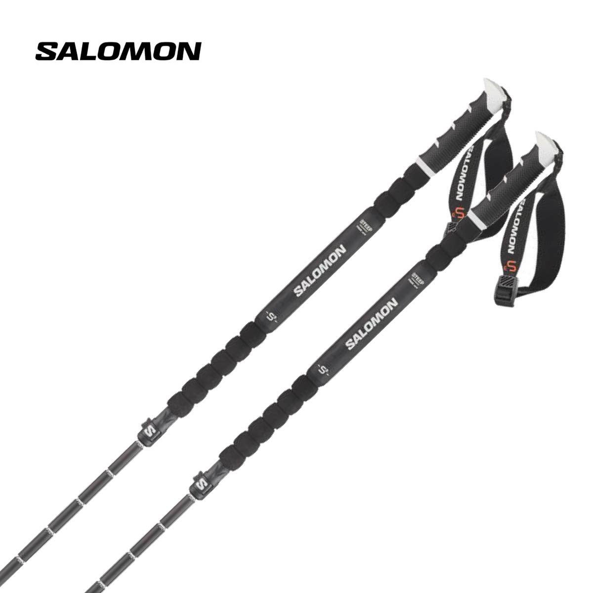 早期予約】SALOMON サロモン スキーポール ストック メンズ レディース