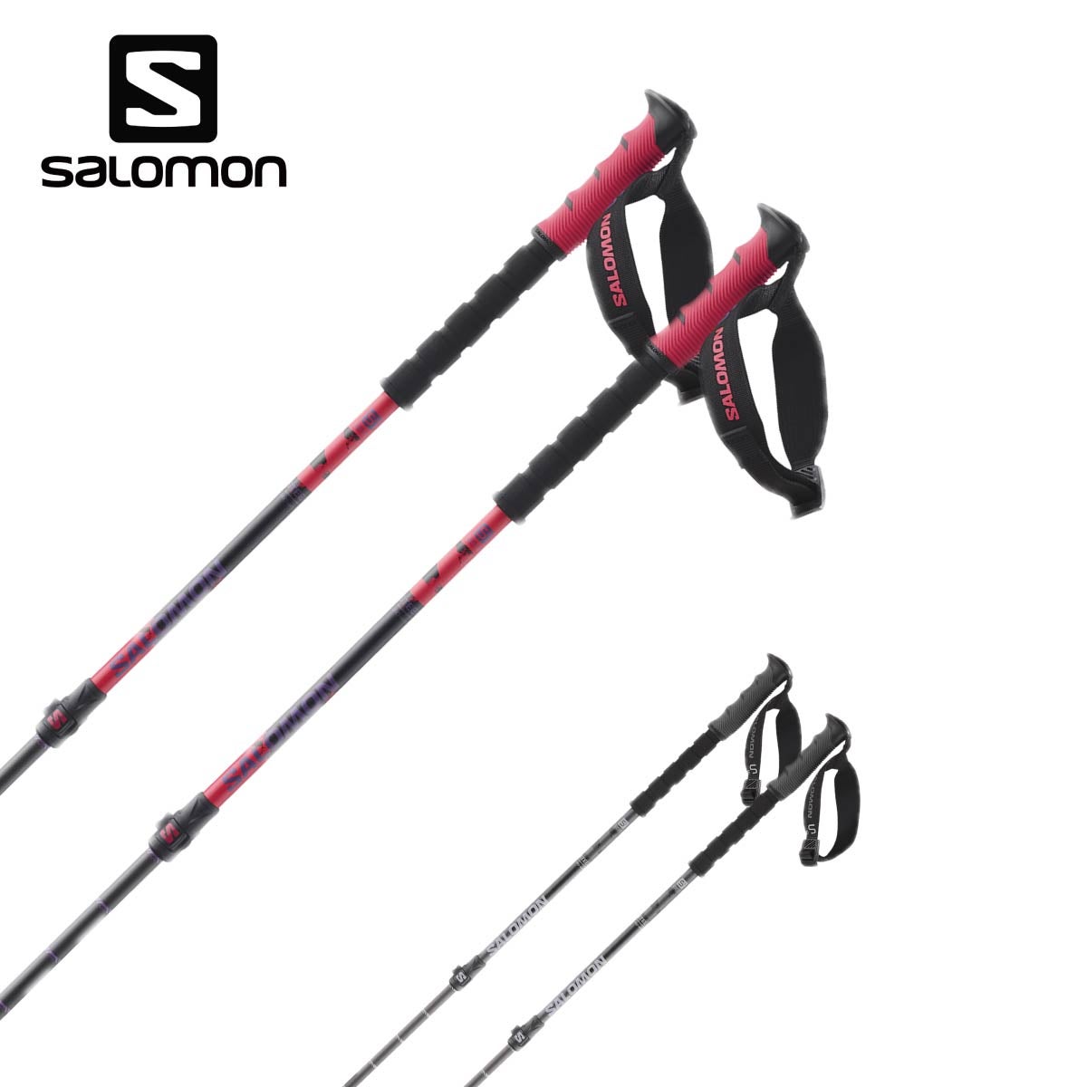 SALOMON】サロモンスキーストックポールならスキー用品通販ショップ