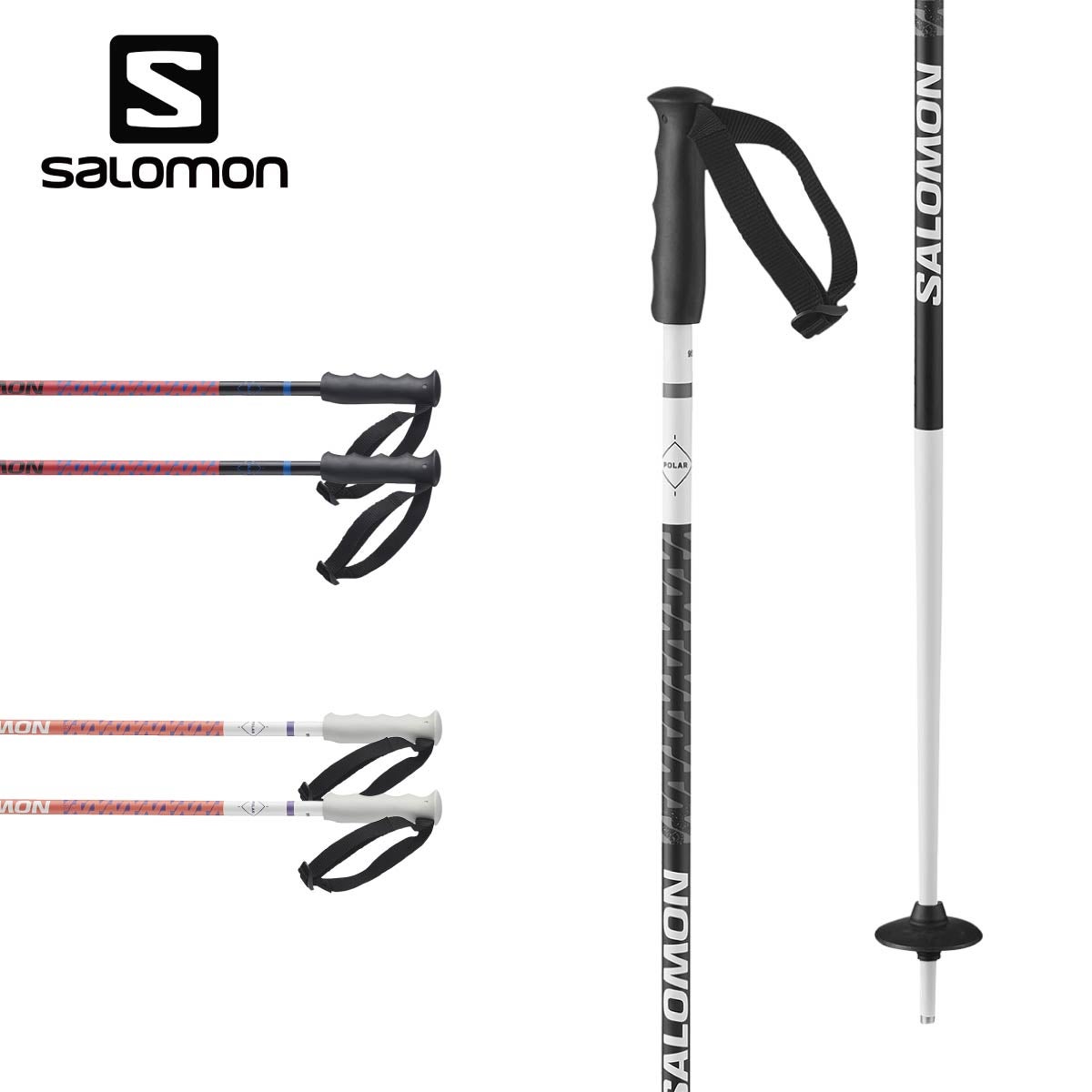 SALOMON】サロモンスキーストックポールならスキー用品通販ショップ