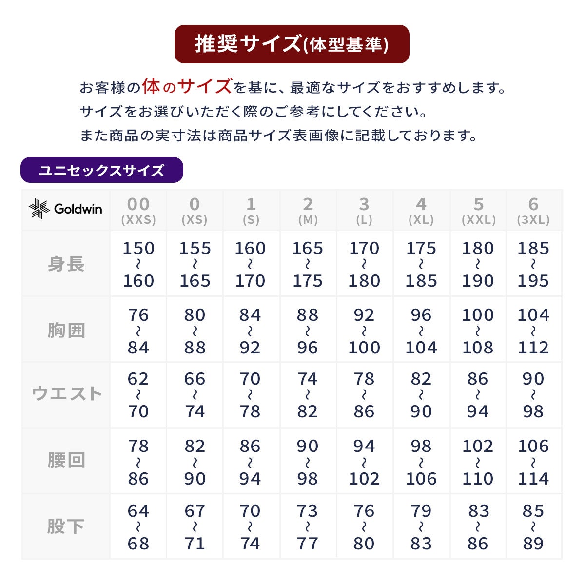 Goldwin ゴールドウイン スキーウェア パンツ メンズ レディース＜2027