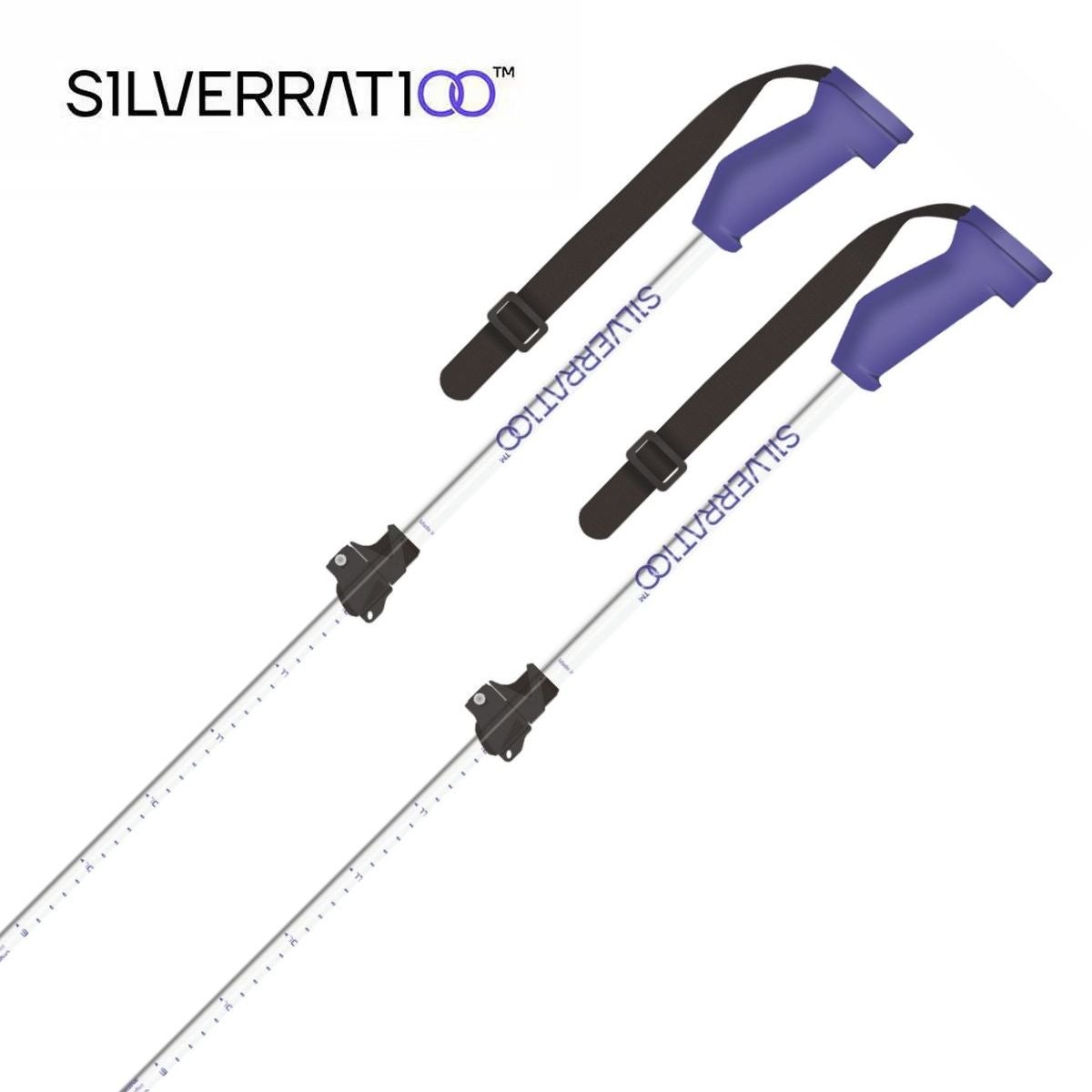 S1LVERRAT1OO シルバーラティオ スキー ポール ストック＜2027