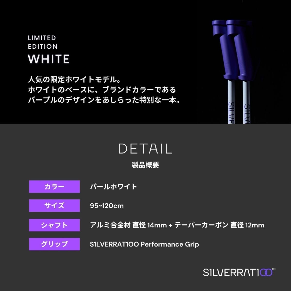 S1LVERRAT1OO シルバーラティオ スキー ポール ストック＜2027