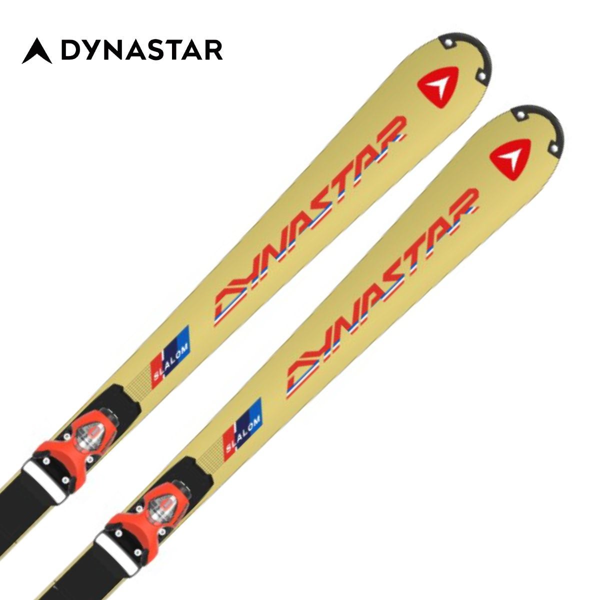 DYNASTAR ディナスター スキー板 メンズ レディース＜2025＞SPEED